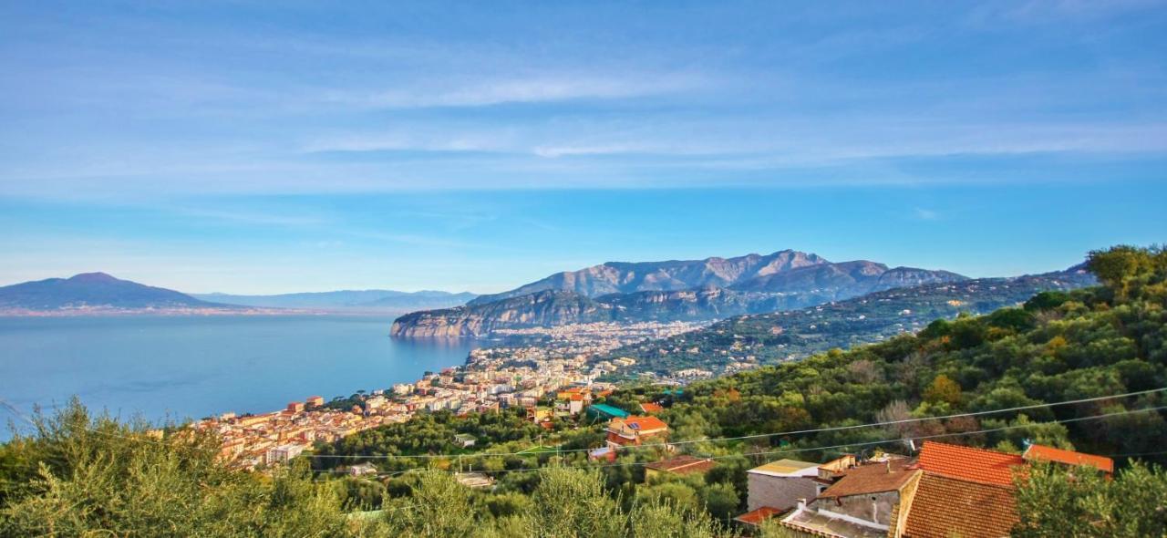 Villa Antonella Σορέντο Εξωτερικό φωτογραφία